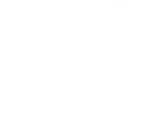 2025 AFF SemiFinalist laurel